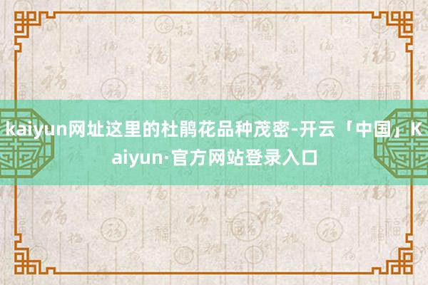 kaiyun网址这里的杜鹃花品种茂密-开云「中国」Kaiyun·官方网站登录入口